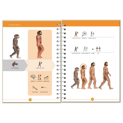 Symbook classe 3ª <br/> Storia Base