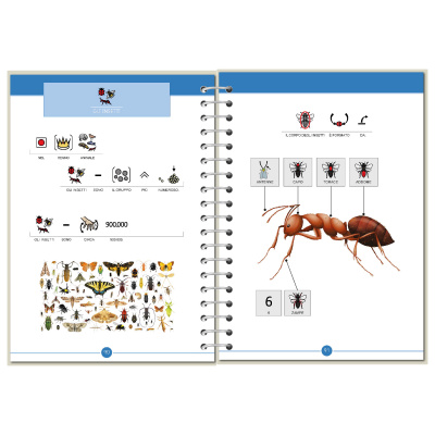 Symbook classe 4ª <br/> Scienze Base