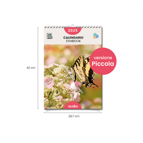 Calendario Symbook 2025