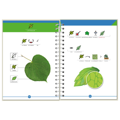 Symbook classe 3ª <br/> Scienze Base