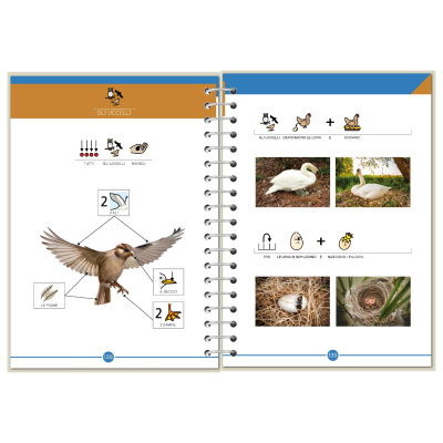 Symbook classe 3ª <br/> Scienze Base