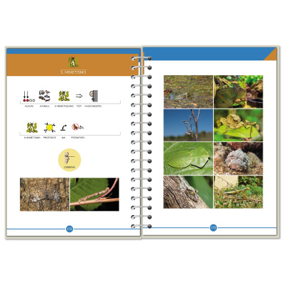 Symbook classe 3ª <br/> Scienze Base